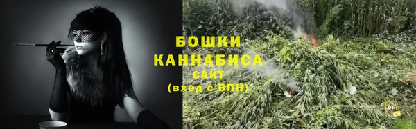 бошки Дмитриев