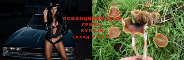 гашиш Дмитров