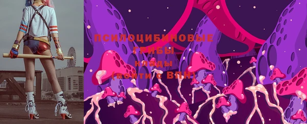 гашиш Дмитров