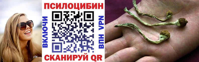 Галлюциногенные грибы Psilocybine cubensis  OMG ССЫЛКА  Краснотурьинск 
