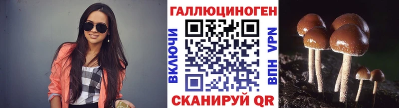 Псилоцибиновые грибы мицелий Краснотурьинск
