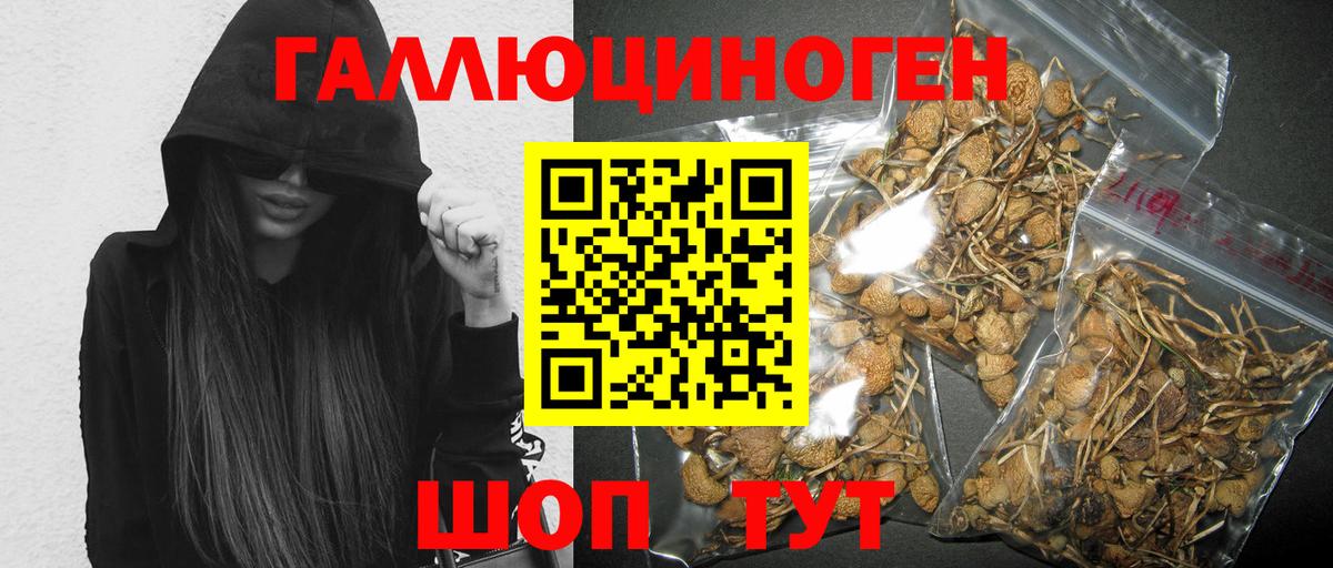купить наркотик  Галлюциногенные грибы MAGIC MUSHROOMS  Вход с VPN  Краснотурьинск 
